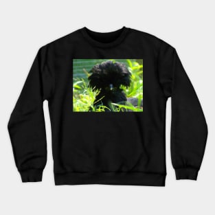 Goofball Crewneck Sweatshirt